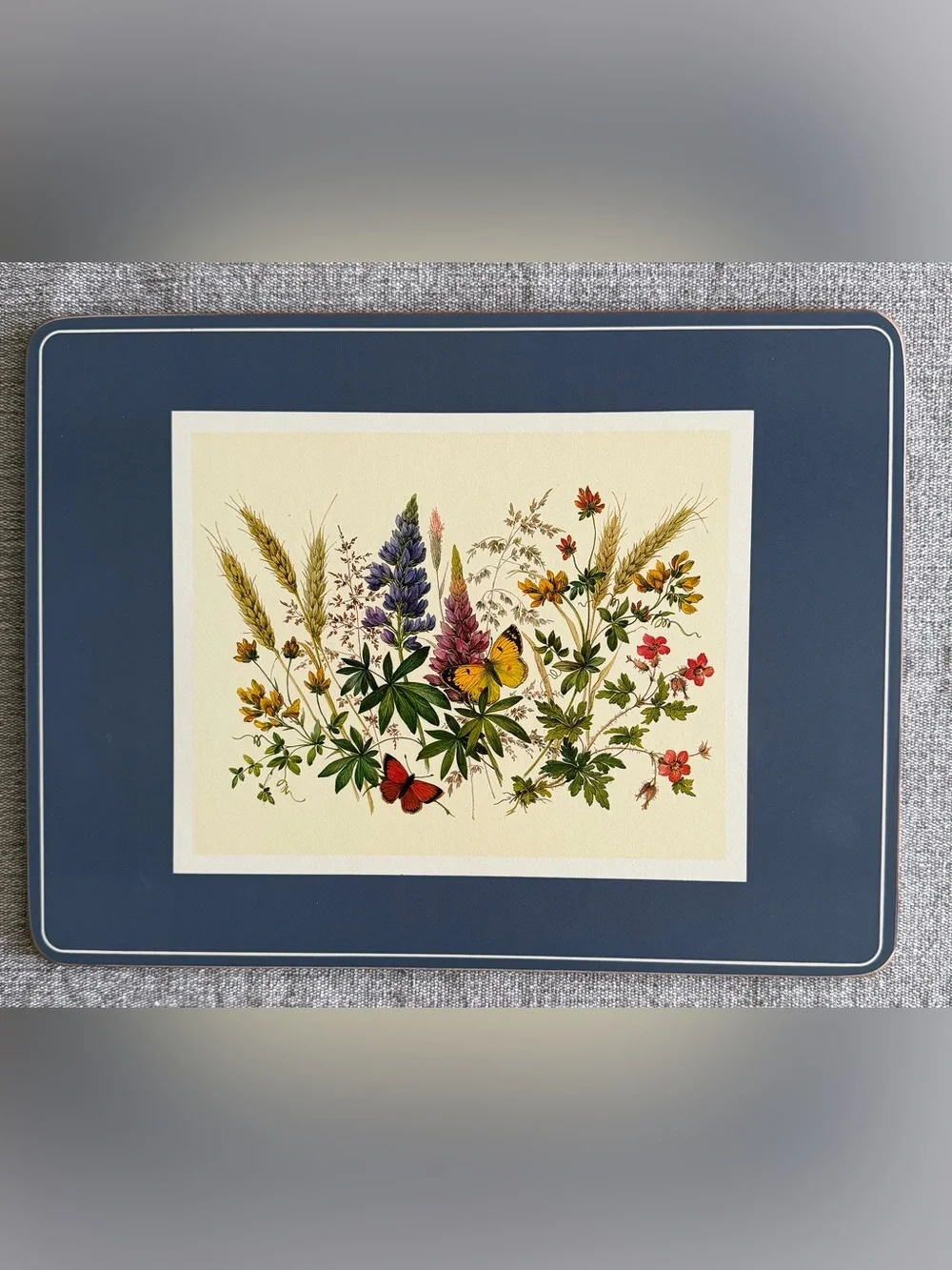 Set of Six Pimpernel English Butterfly Collection Cork-backed Placemats